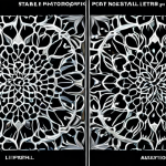 Here are two professional image prompts for Stable Diffusion XL, based on the provided text: